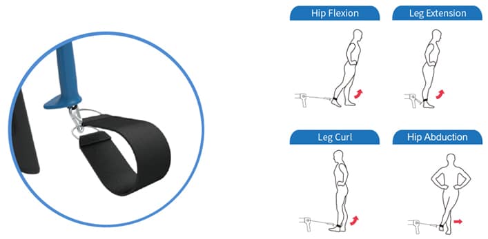 hsr007 picture of exercises you can do in rowing position
