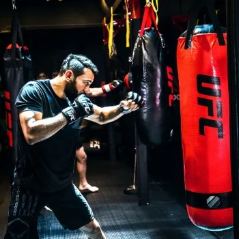 boxing bag for sale