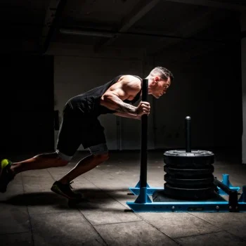 gym sled gym equipment